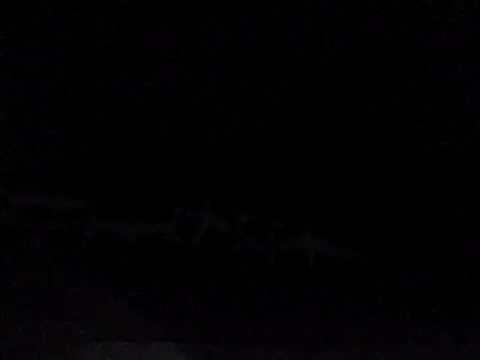 perlados – Naživo XXX chat