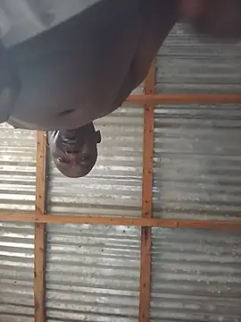 عرض كام WiseDi