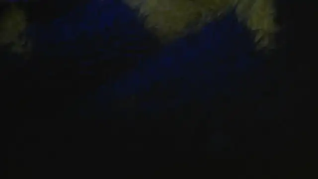 Show modela bialoba7 na web-kameri