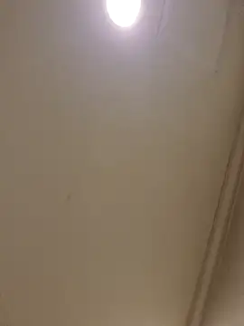 asdfz1 웹캠 쇼