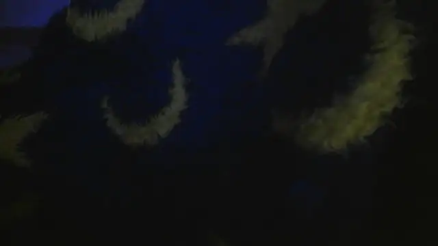 Chat +18 de bialoba7 ao vivo