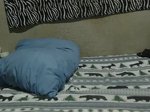 crazypervet Chat XXX live