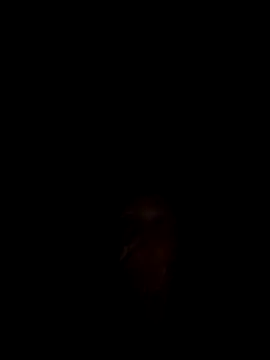 Celine_Faer1 XXX чат на живо