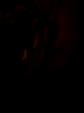 NoaReeed live XXX chat