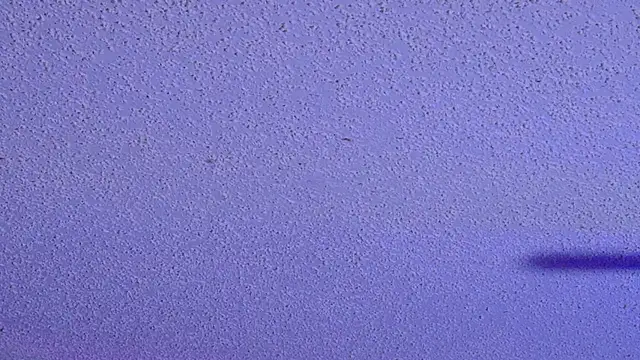دردشة PNPSPUN1 الجنسية المباشرة