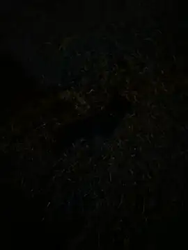 XXX chat uživo modela archi9999