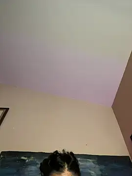 TheDime's Webcam Show