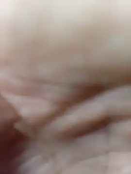 romeohotpig Live XXX-Chat