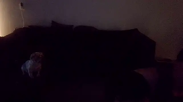 DaveroGeil Webcam-Show