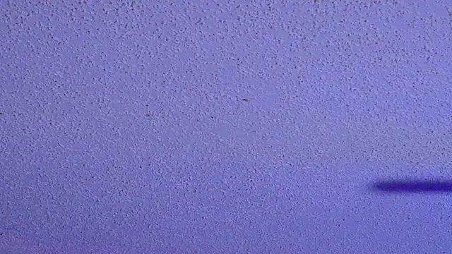 Czat XXX na żywo – PNPSPUN1