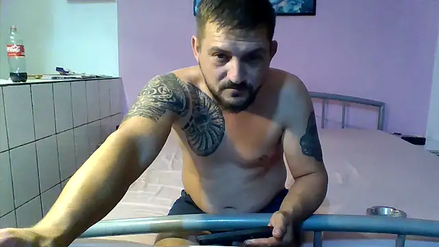 VelvetWolff Chat XXX live