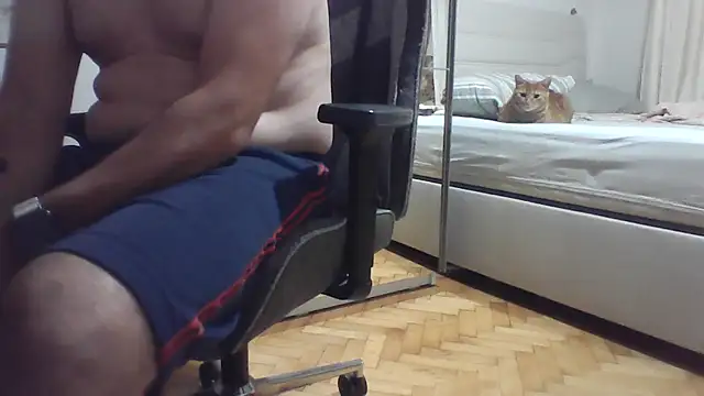 عرض كام HotwifeAvcisiOlgunAdam