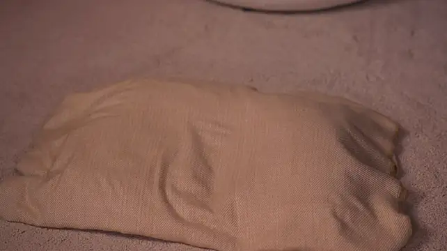 Lexi_Reed 现场XXX聊天