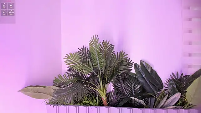 stephanymonroe Adlı Modelin Canlı XXX Sohbeti