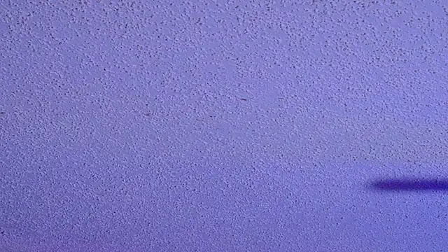 PNPSPUN1 Live XXX-chat