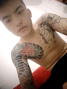 Show Webcam de zhang1688