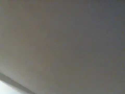 DefiniteTimor Webcam show