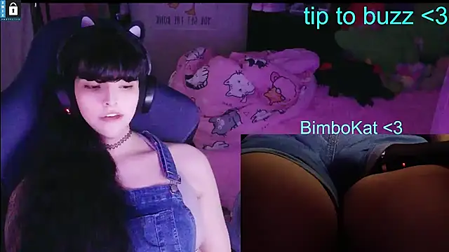 BimboCat Live XXX-chat