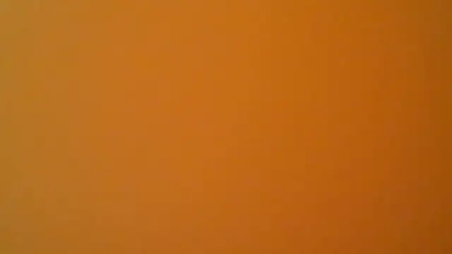 MissVegas Webcam Show