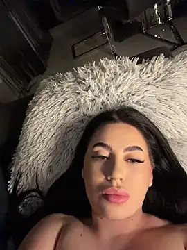Andrestarr live XXX chat