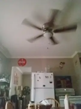 Chat XXX en directo de ReallyReallyReal