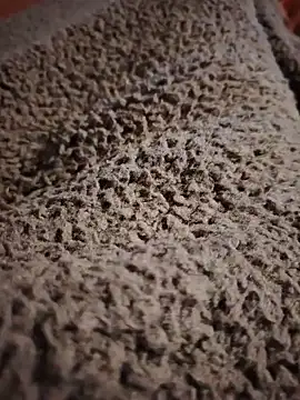 SeedingBuildup – Naživo XXX chat