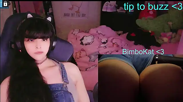 BimboCat live XXX chat