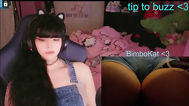 BimboCat Chat XXX in diretta