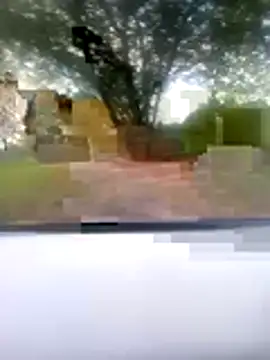 daokee webcam show