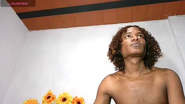 Noah_Miller77n Webbikameraesitys