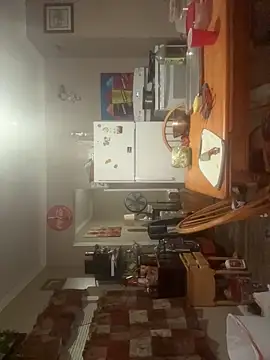 Show webcam de ReallyReallyReal