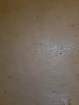 Splash_Queen420 – Naživo XXX chat