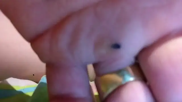 Dileilei Live XXX-Chat
