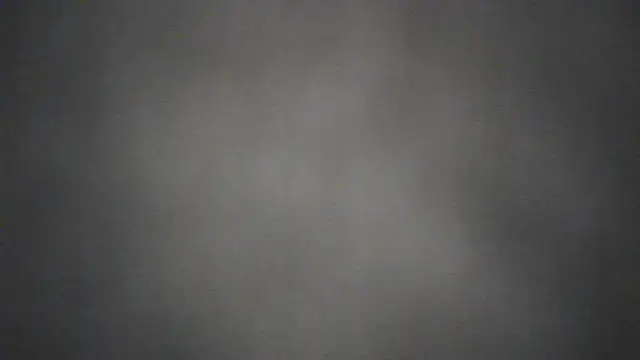 Userpac Chat XXX live