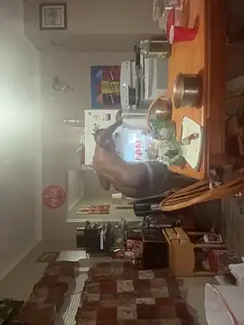 Онлайн чат XXX ReallyReallyReal