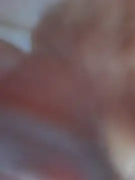 Chat XXX ao vivo de Lssbj