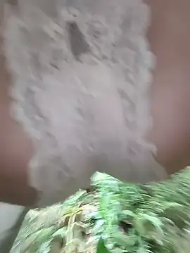 Coral_hi 现场XXX聊天