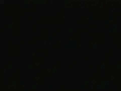Aniee2 现场XXX聊天