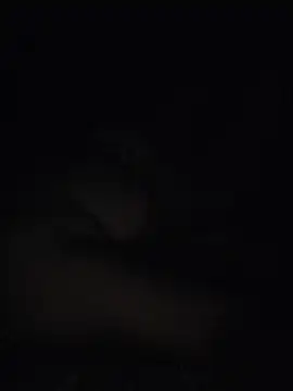 SexyAngel43's Live XXX Chat