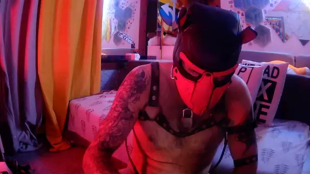 danix_wild_wolf's Live XXX Chat