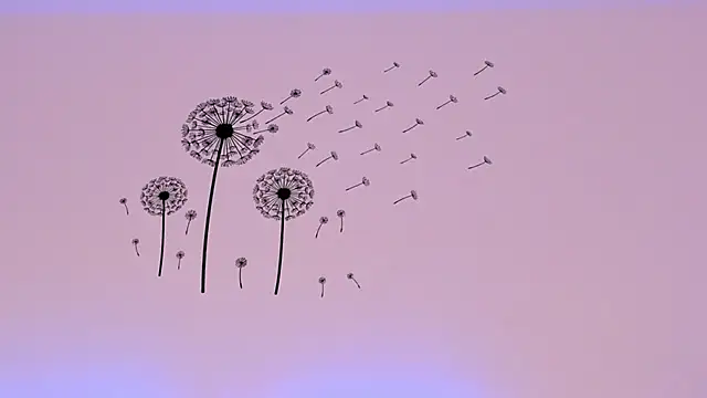 miahkumar élő XXX-chatje