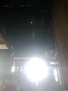 Chat XXX Live Sumo-y