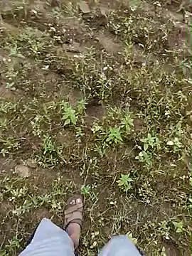 Forest_lover24 লাইভ XXX চ্যাট