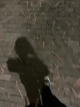 Chat XXX ao vivo de Liam_Moss
