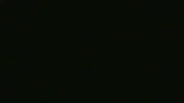 Show Webcam de ludowrss