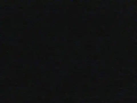 shugabaibe Live XXX-Chat