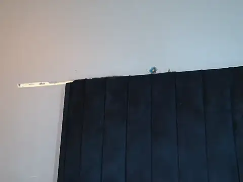 ORCHIDAFRICAx Live XXX-Chat