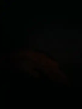 bucsaow Webcam-Show