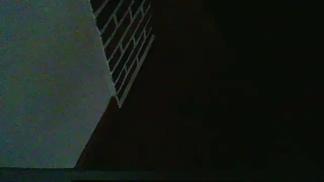 ludowrss 在線直播表演