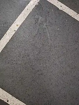 Rk6977 网络视讯表演